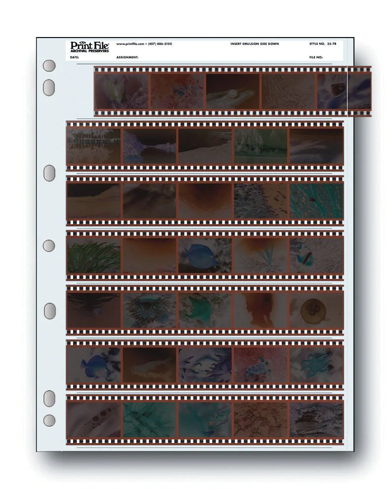 Print File 35-7B pack of 100 for 7 - 35mm strips - total 35 frames