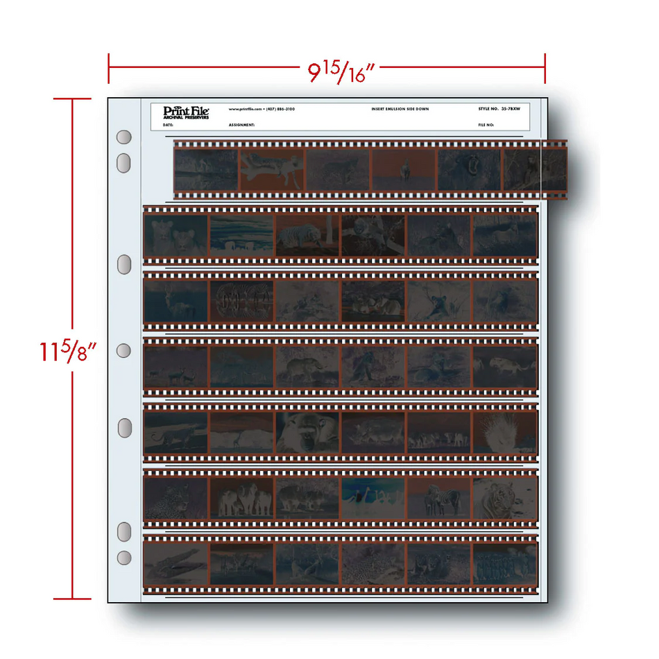 Print File 35-7BXW pack of 100 for 7 - 35mm strips - total 42 frames