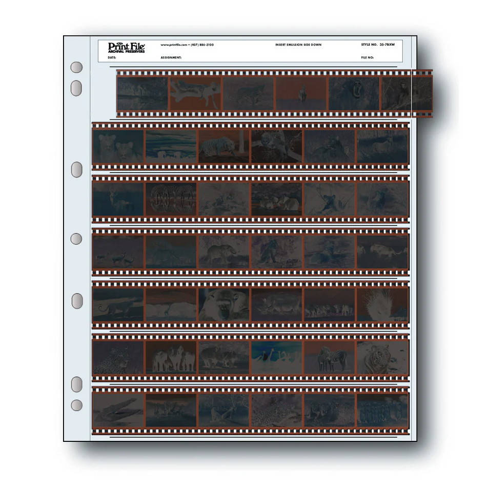 Print File 35-7BXW pack of 100 for 7 - 35mm strips - total 42 frames