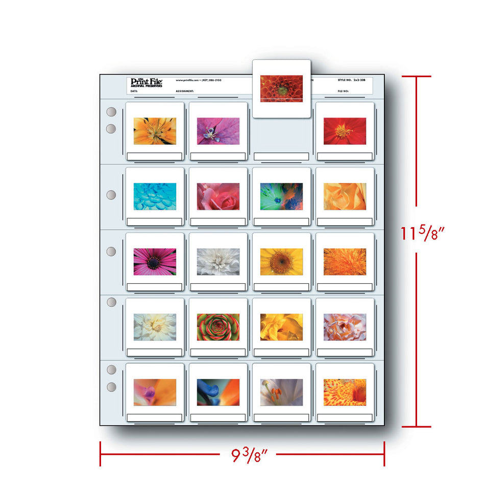 Print File Archival 2x2-20B Slide Preservers (Printed) - Holds 20 x 35mm Slides (100 Pack)