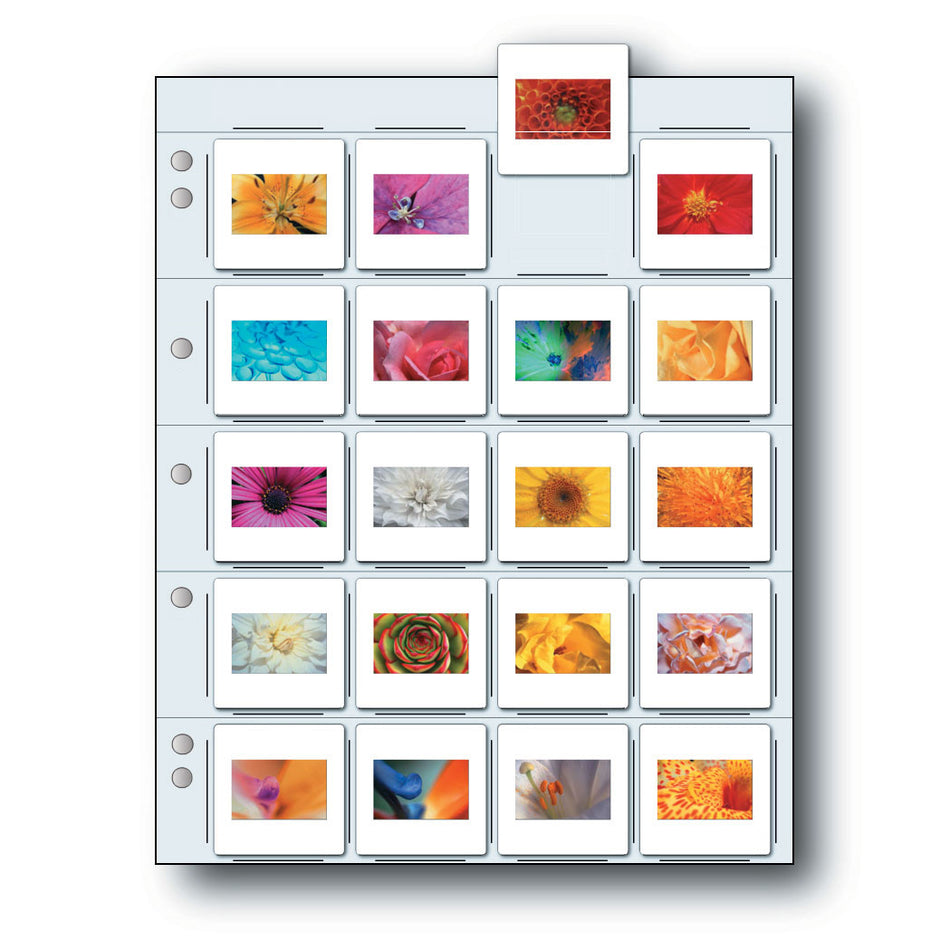 Print File Archival 2x2-20B Slide Preservers (Unprinted) - Holds 20 x 35mm Slides (500 Pack)