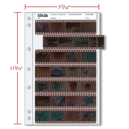 -Print File Archival 35-7B4 Negative Storage Pages for 35mm Film (25 Pack)-Negative Sleeves-Print File