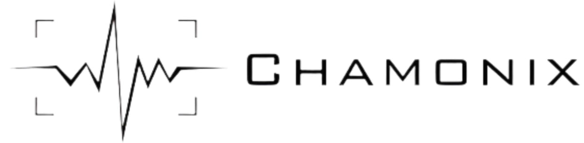 -CHAMONIX 1010WP Wet Plate 10x10" View Camera-Large Format Cameras-CHAMONIX