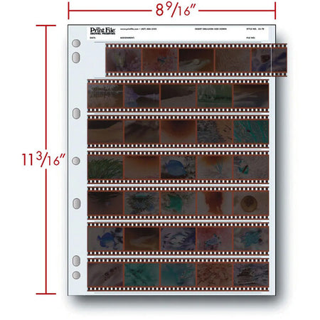-Print File Archival 35-7B Negative Storage Pages for 35mm Film (100 Pack)-Negative Sleeves-Print File