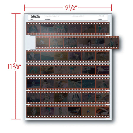-Print File Archival 35-7 Negative Storage Pages for 35mm Film (100 Pack)-Negative Sleeves-Print File