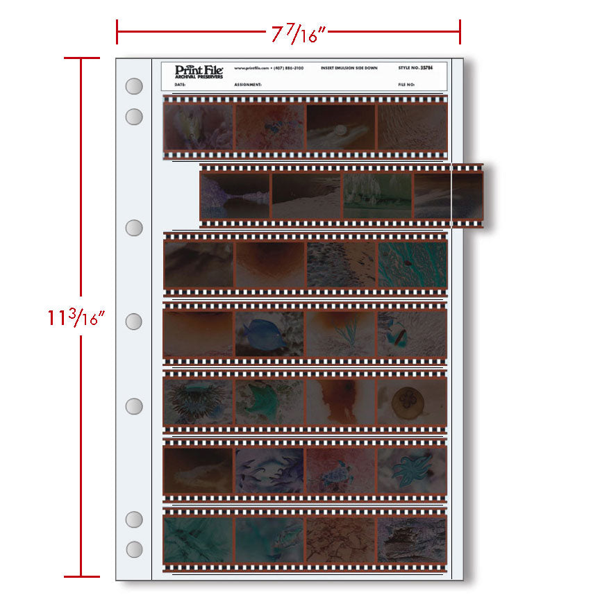 Print File Archival 35-7B4 Negative Storage Pages for 35mm Film (25 Pack)