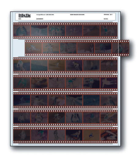 Print File 35-7 pack of 100 for 7 - 35mm strips - total 42 frames-Negative Sleeves-Kudos Cameras