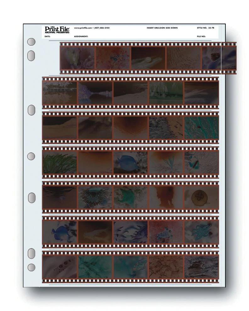 Print File 35-7B pack of 25 for 7 - 35mm strips - total 35 frames-Negative Sleeves-Kudos Cameras