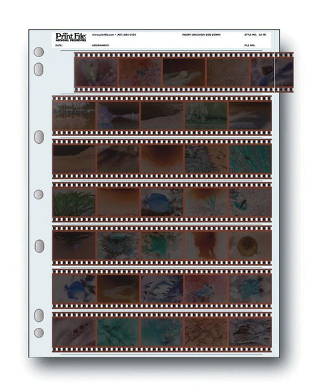 Print File 35-7B pack of 25 for 7 - 35mm strips - total 35 frames-Negative Sleeves-Kudos Cameras