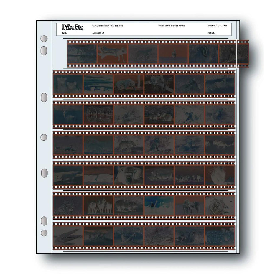 Print File 35-7BXW pack of 100 for 7 - 35mm strips - total 42 frames-Negative Sleeves-Kudos Cameras