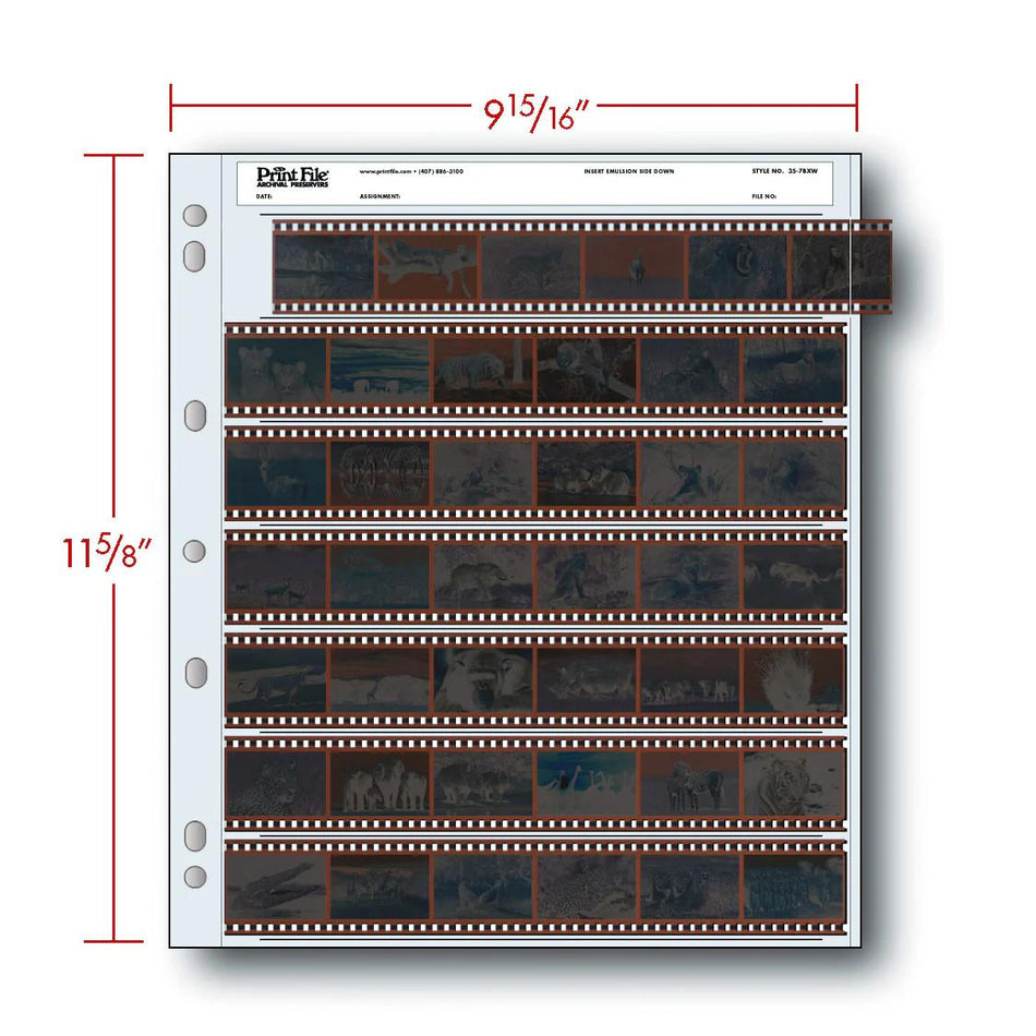 Print File 35-7BXW pack of 100 for 7 - 35mm strips - total 42 frames-Negative Sleeves-Kudos Cameras