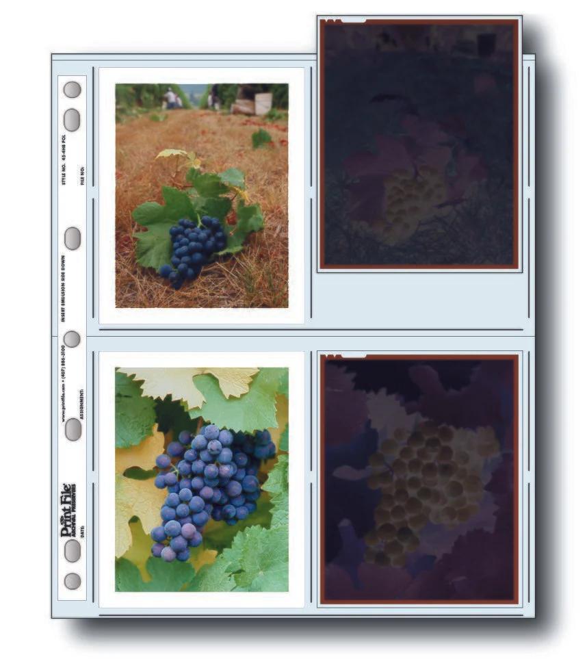 Print File 45-4HB POL pack of 100 for 8 - 4" x 5" Polaroid prints or 4 - sleeved 4"x5" negatives-Negative Sleeves-Print File