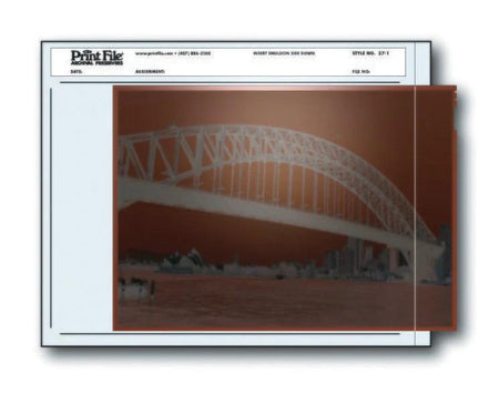 Print File 57-1 pack of 100 for 1 - 5" x 7" negative or transparency-Negative Sleeves-Kudos Cameras