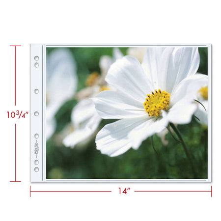 Print File Archival 1013-2P Print Preservers for 2 Prints - 10 x 13" (25 Pack)-Black 3-Ring Oversize Album-Kudos Cameras