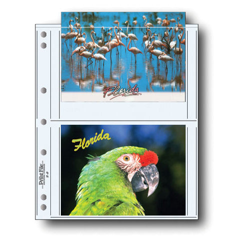 Print File Archival 57-4P Print Preservers for 4 Prints - 5 x 7" (500 Pack)-Print Preservers-Kudos Cameras