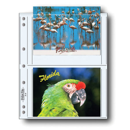 Print File Archival 57-4P Print Preservers for 4 Prints - 5 x 7" (500 Pack)-Print Preservers-Kudos Cameras