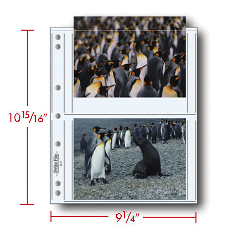 Print File Archival 57-4P Print Preservers for 4 Prints - 5 x 7" (500 Pack)-Print Preservers-Kudos Cameras