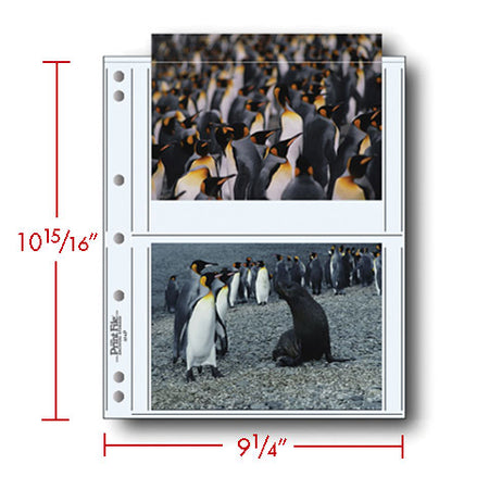 Print File Archival 57-4P Print Preservers for 4 Prints - 5 x 7" (500 Pack)-Print Preservers-Kudos Cameras