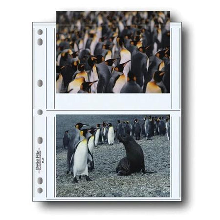 Print File Archival 57-4P Print Preservers for 4 Prints - 5 x 7" (500 Pack)-Print Preservers-Kudos Cameras