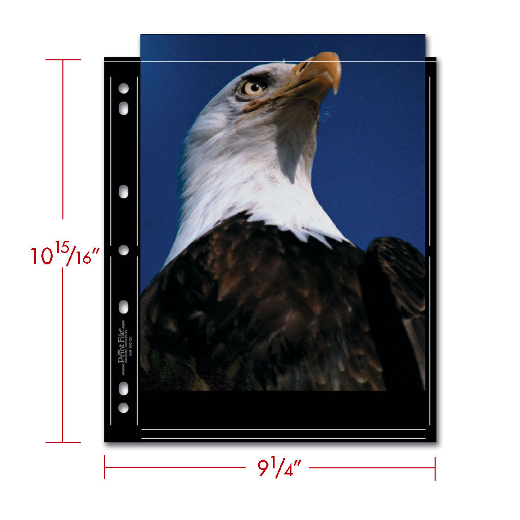 Print File Archival BLK 810-2S Album Pages - Standard (Black) for 4 Prints - 8 x 10" (25 Pack)-Premium Archival Albums & Black Album Pages-Kudos Cameras