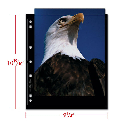 Print File Archival BLK 810-2S Album Pages - Standard (Black) for 4 Prints - 8 x 10" (25 Pack)-Premium Archival Albums & Black Album Pages-Kudos Cameras