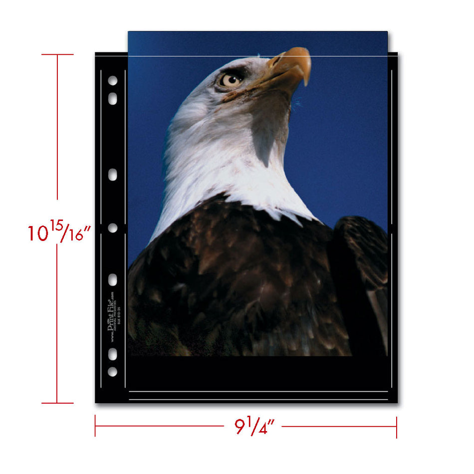 Print File Archival BLK 810-2S Album Pages - Standard (Black) for 4 Prints - 8 x 10" (25 Pack)-Premium Archival Albums & Black Album Pages-Kudos Cameras