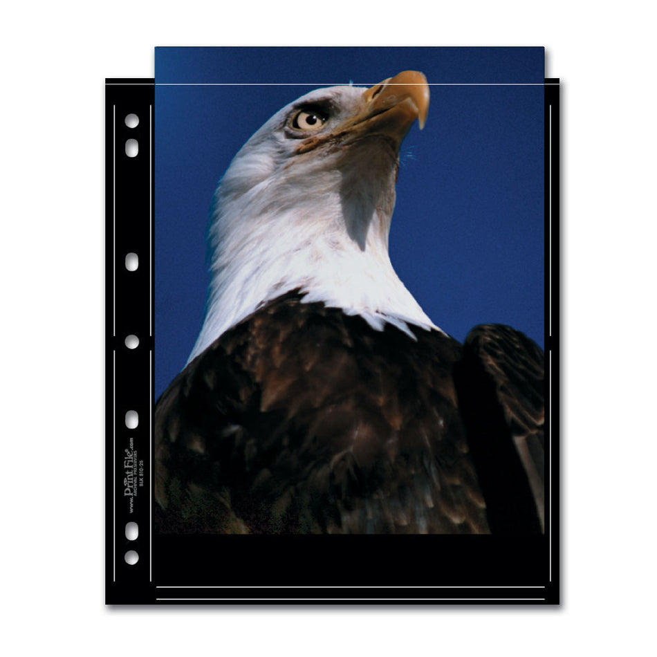 Print File Archival BLK 810-2S Album Pages - Standard (Black) for 4 Prints - 8 x 10" (25 Pack)-Premium Archival Albums & Black Album Pages-Kudos Cameras