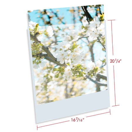 Print File Archival BOPP1620NF (BOPP) Presentation Pockets - 16 x 20" (100 Pack)-3.2mi Presentation Pockets-Kudos Cameras