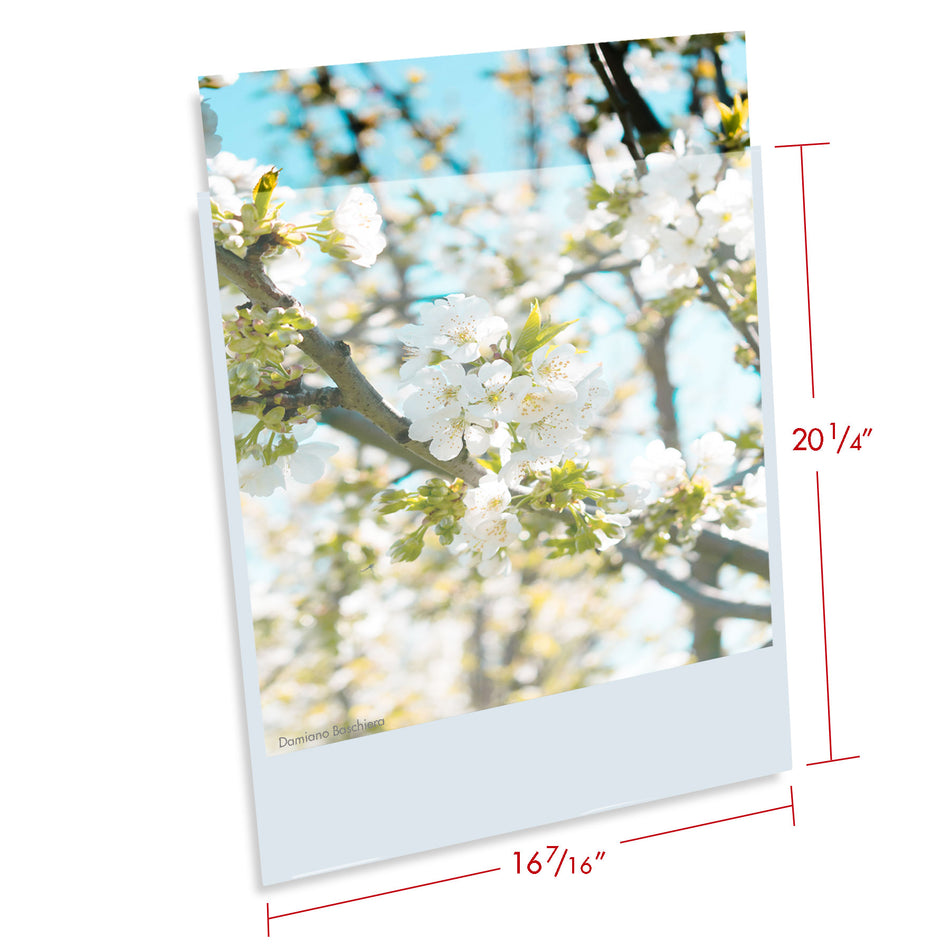 Print File Archival BOPP1620NF (BOPP) Presentation Pockets - 16 x 20" (100 Pack)-3.2mi Presentation Pockets-Kudos Cameras