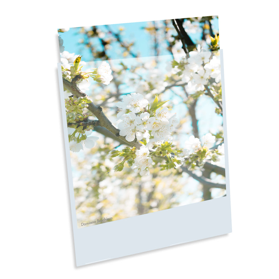 Print File Archival BOPP1620NF (BOPP) Presentation Pockets - 16 x 20" (100 Pack)-3.2mi Presentation Pockets-Kudos Cameras