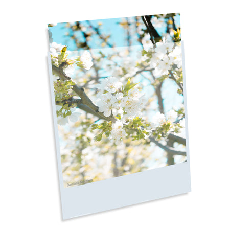 Print File Archival BOPP1722NF (BOPP) Presentation Pockets - 17 x 22" (100 Pack)-3.2mi Presentation Pockets-Kudos Cameras