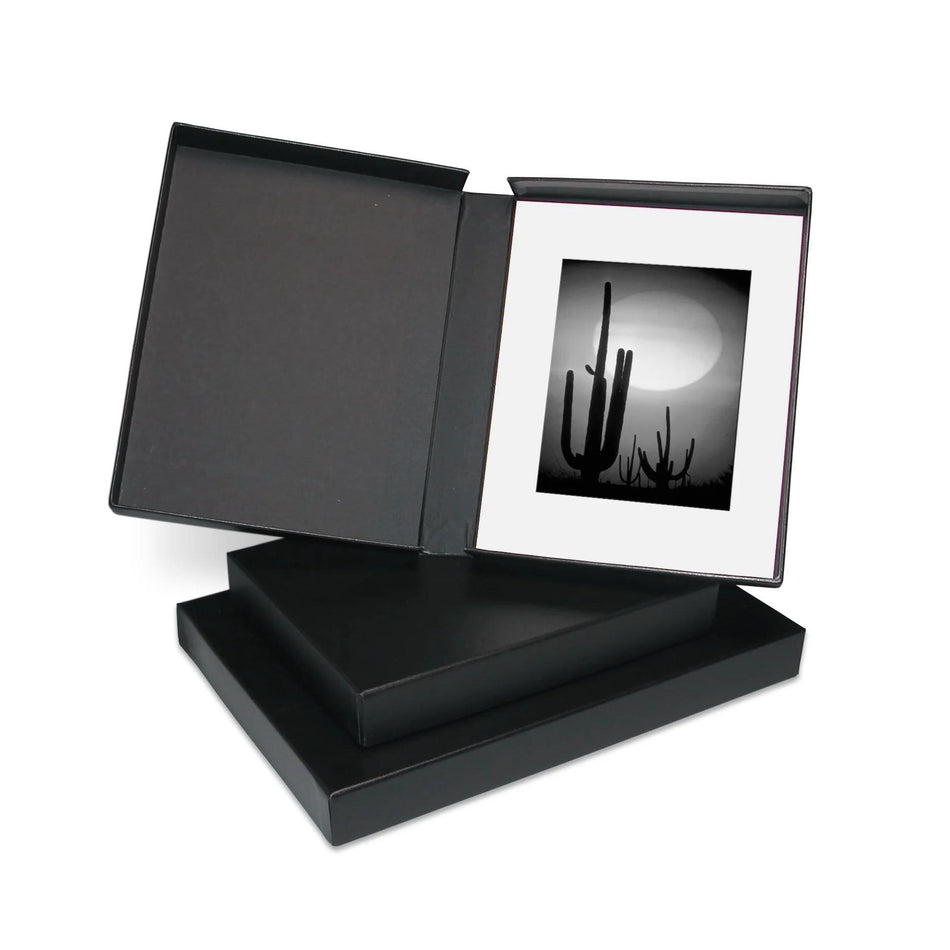 Print File Archival PBB16202 Clamshell Portfolio Box with Black Lining - 16 x 20 x 2" (Black)-Clamshell Portfolio Boxes 2" Deep-Kudos Cameras