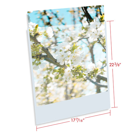 Print File BOPP1722NF pack of 100 Presentation Pocket, 1/16" lip-3.2mil BOPP 17-7/16x22-3/8-3.2mi Presentation Pockets-Print File