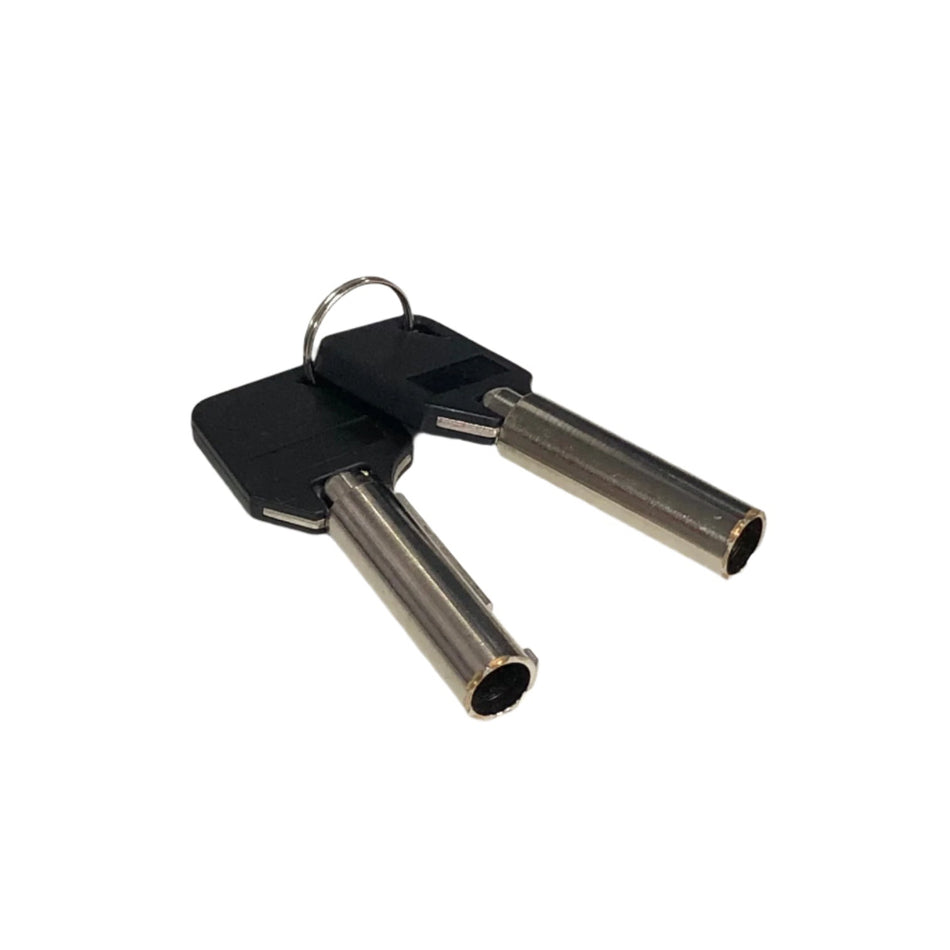 Wonderful Dry Cabinet Spare Key Set for AD-310D & AD-410D series cabinets-Dry Cabinet Accessory-Kudos Cameras