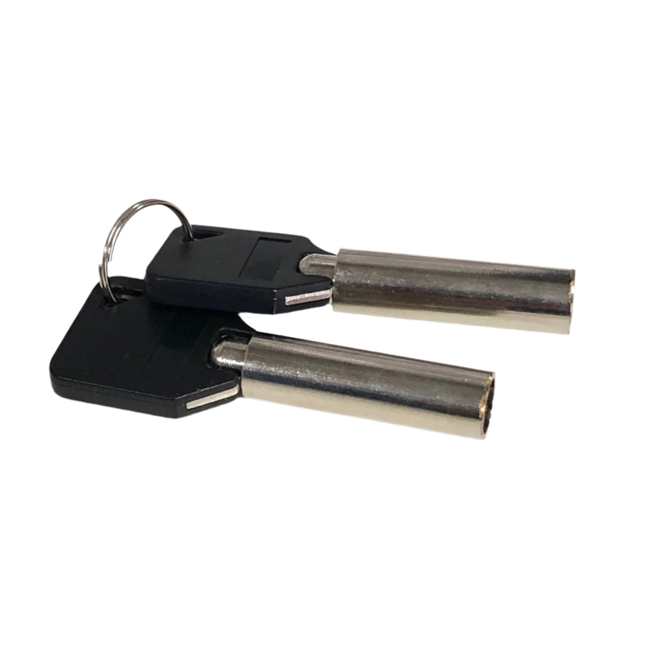 Wonderful Dry Cabinet Spare Key Set for AD-310D & AD-410D series cabinets-Dry Cabinet Accessory-Kudos Cameras