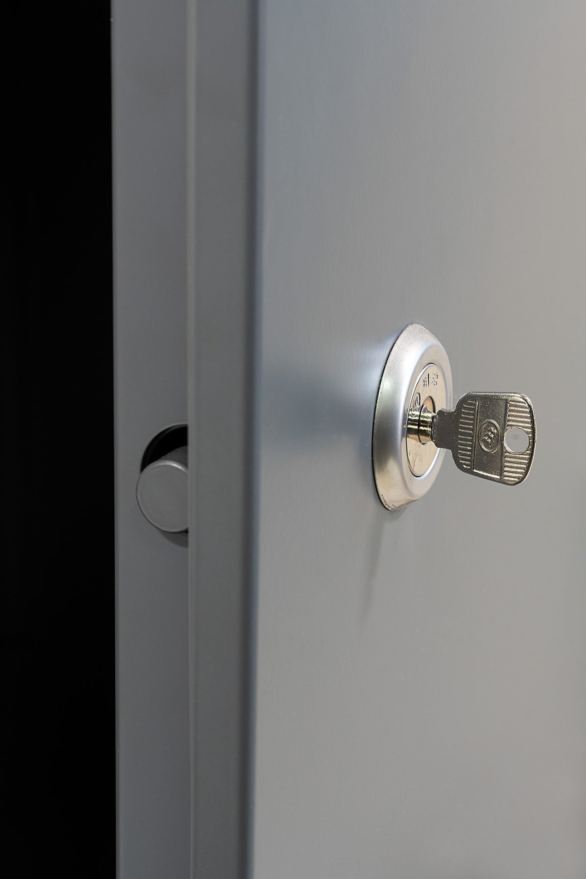 Wonderful MD-300i (320 Litre) Safe-Type Dry Cabinet-Dry Cabinets-Wonderful