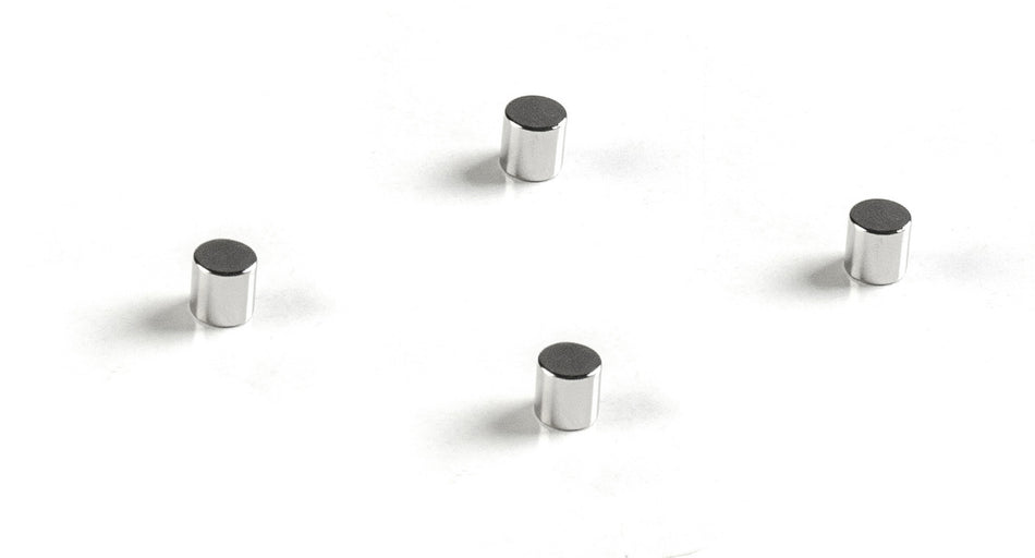 Kaiser Fototechnik 2485 Neodymium Magnets